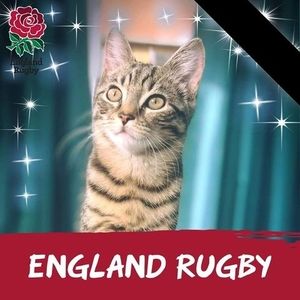 Meet your Posher, Hayley